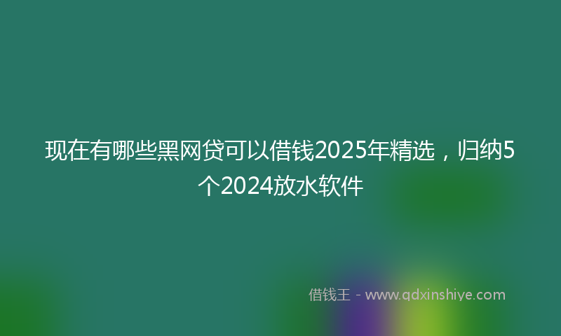 现在有哪些黑网贷可以借钱2025年精选，归纳5个2024放水软件