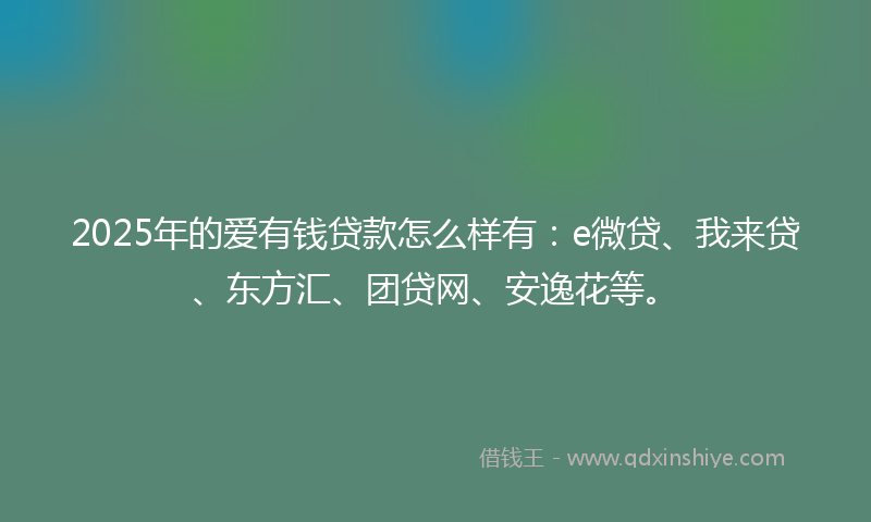2025年的爱有钱贷款怎么样有：e微贷、我来贷、东方汇、团贷网、安逸花等。
