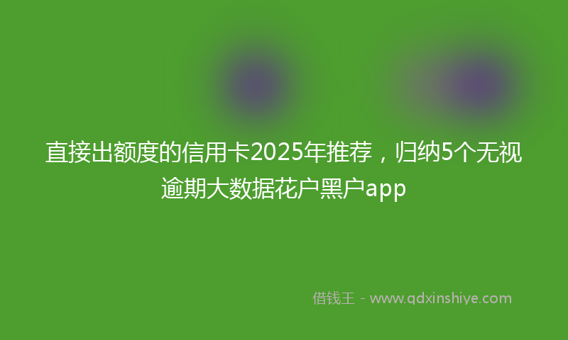 直接出额度的信用卡2025年推荐，归纳5个无视逾期大数据花户黑户app