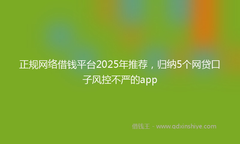 正规网络借钱平台2025年推荐，归纳5个网贷口子风控不严的app