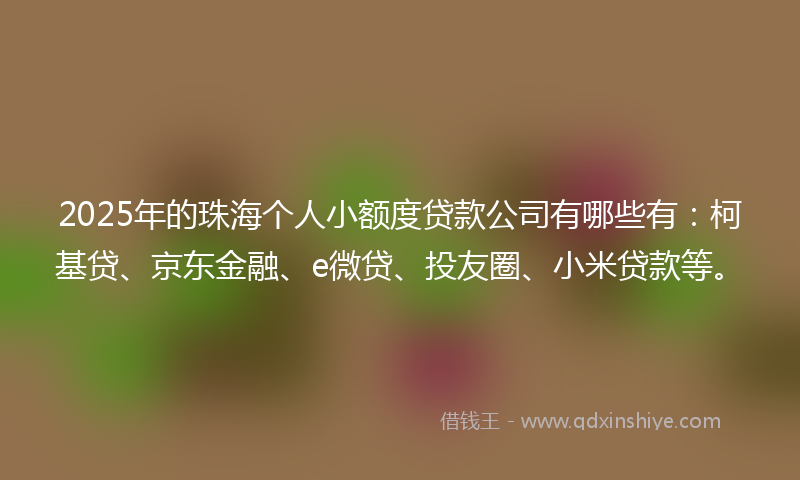 2025年的珠海个人小额度贷款公司有哪些有：柯基贷、京东金融、e微贷、投友圈、小米贷款等。