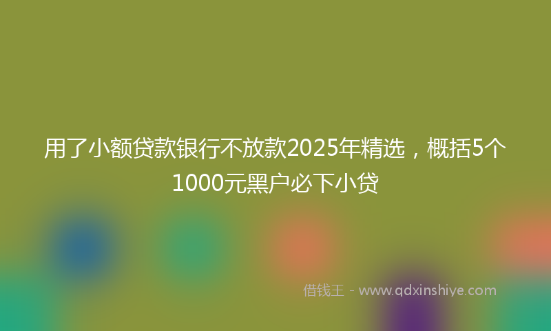 用了小额贷款银行不放款2025年精选，概括5个1000元黑户必下小贷