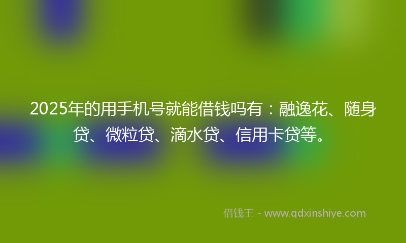 2025年的用手机号就能借钱吗有：融逸花、随身贷、微粒贷、滴水贷、信用卡贷等。