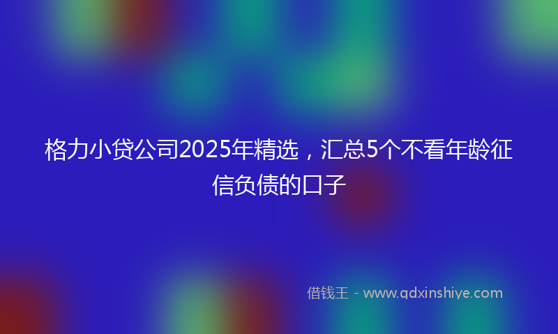 格力小贷公司2025年精选，汇总5个不看年龄征信负债的口子