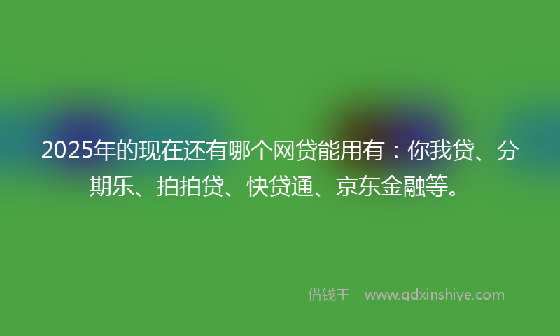 2025年的现在还有哪个网贷能用有：你我贷、分期乐、拍拍贷、快贷通、京东金融等。