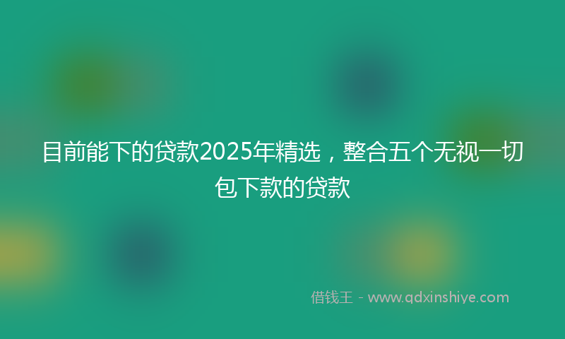 目前能下的贷款2025年精选，整合五个无视一切包下款的贷款