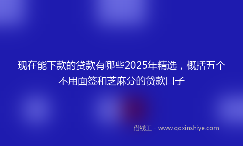 现在能下款的贷款有哪些2025年精选，概括五个不用面签和芝麻分的贷款口子