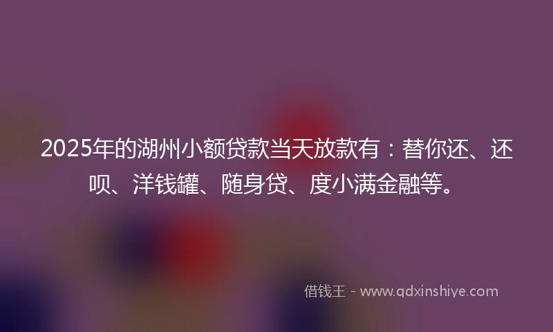 2025年的湖州小额贷款当天放款有：替你还、还呗、洋钱罐、随身贷、度小满金融等。