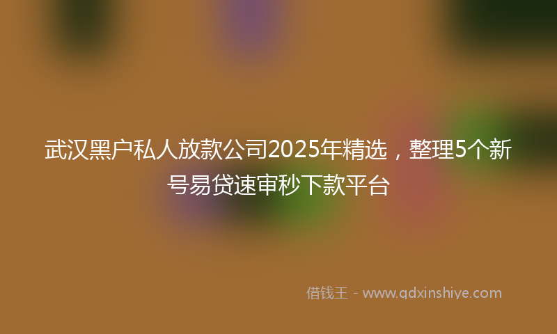 武汉黑户私人放款公司2025年精选，整理5个新号易贷速审秒下款平台