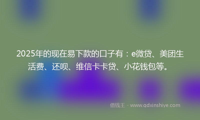 2025年的现在易下款的口子有:e微贷、美团生活费、还呗、维信卡卡贷、小花钱包等。