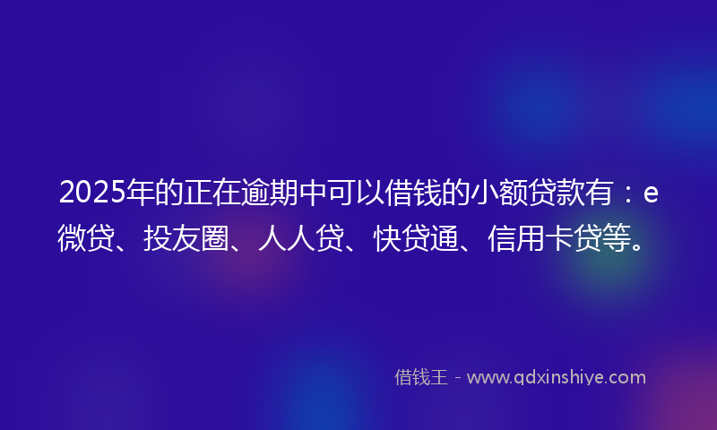 2025年的正在逾期中可以借钱的小额贷款有：e微贷、投友圈、人人贷、快贷通、信用卡贷等。