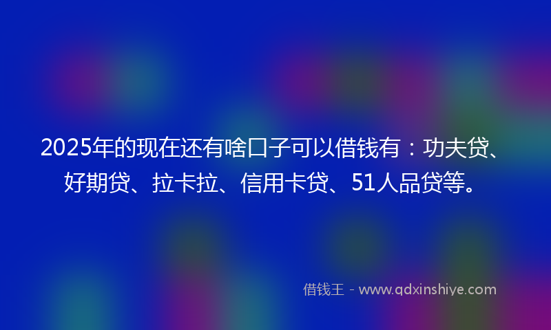2025年的现在还有啥口子可以借钱有：功夫贷、好期贷、拉卡拉、信用卡贷、51人品贷等。