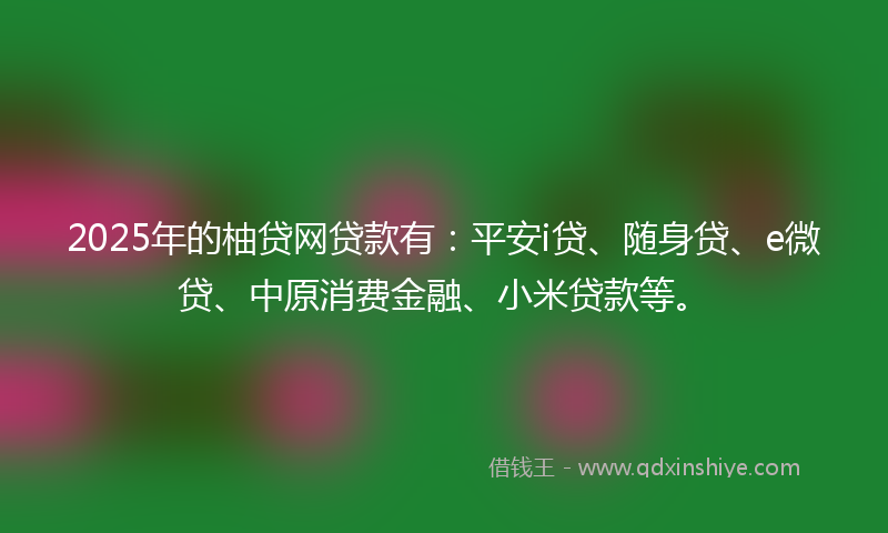 2025年的柚贷网贷款有：平安i贷、随身贷、e微贷、中原消费金融、小米贷款等。