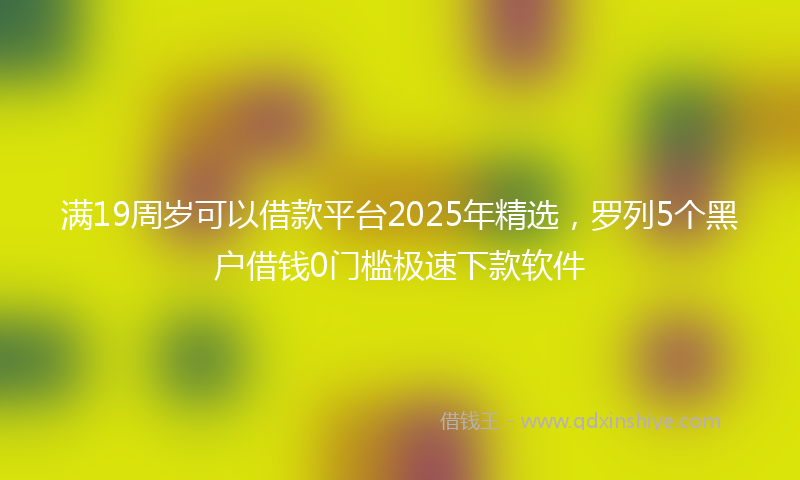 满19周岁可以借款平台2025年精选，罗列5个黑户借钱0门槛极速下款软件