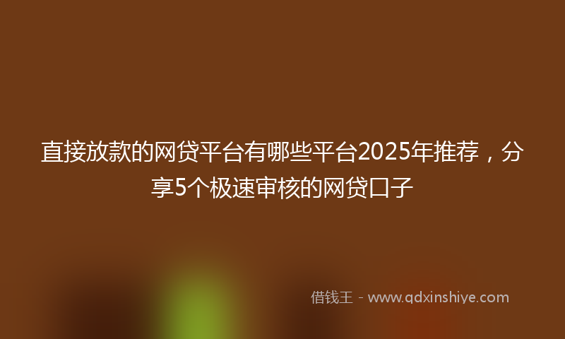 直接放款的网贷平台有哪些平台2025年推荐，分享5个极速审核的网贷口子
