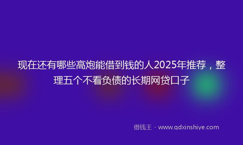 现在还有哪些高炮能借到钱的人2025年推荐，整理五个不看负债的长期网贷口子