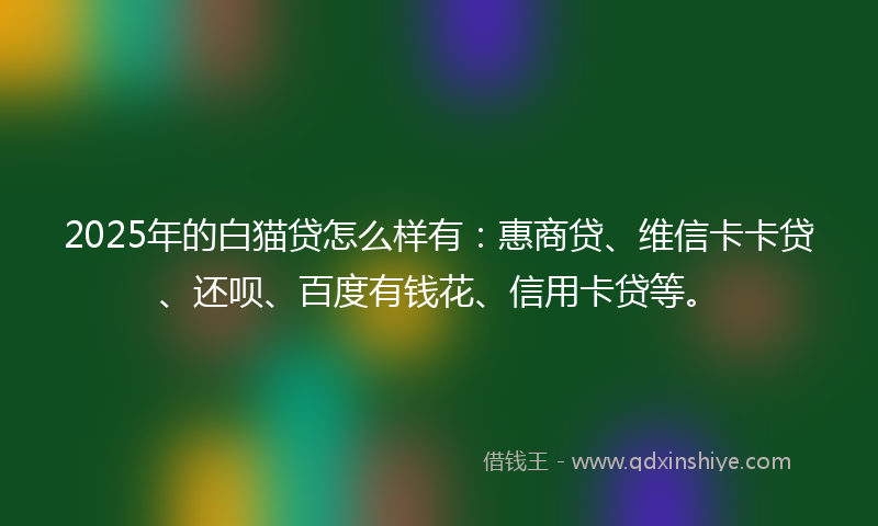 2025年的白猫贷怎么样有：惠商贷、维信卡卡贷、还呗、百度有钱花、信用卡贷等。
