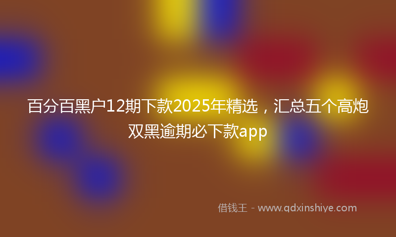 百分百黑户12期下款2025年精选，汇总五个高炮双黑逾期必下款app