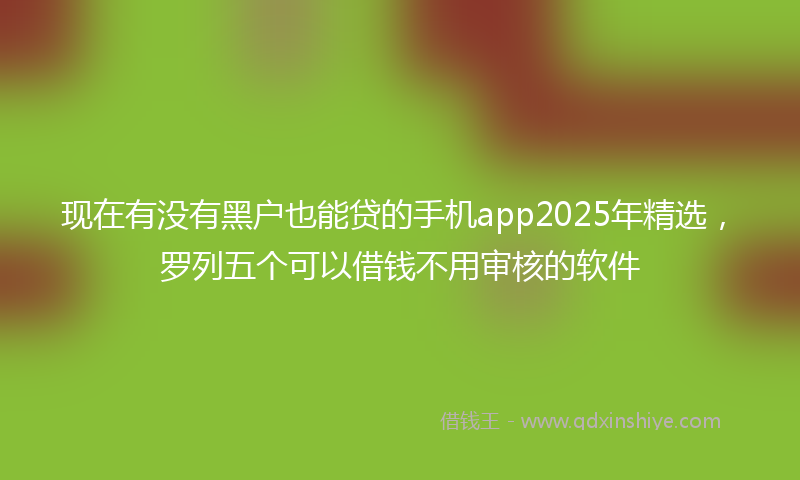 现在有没有黑户也能贷的手机app2025年精选，罗列五个可以借钱不用审核的软件