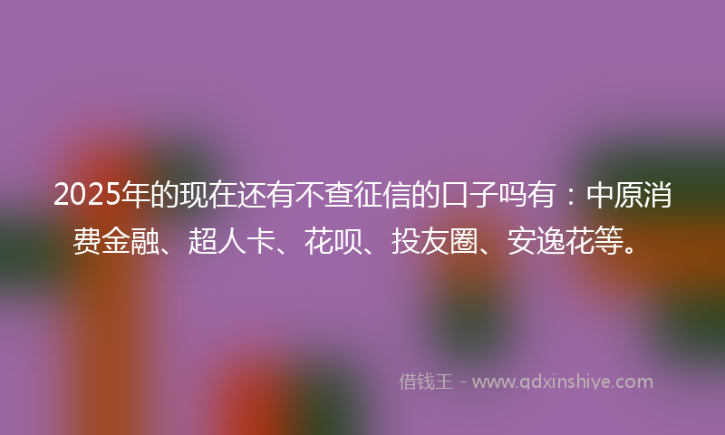 2025年的现在还有不查征信的口子吗有：中原消费金融、超人卡、花呗、投友圈、安逸花等。