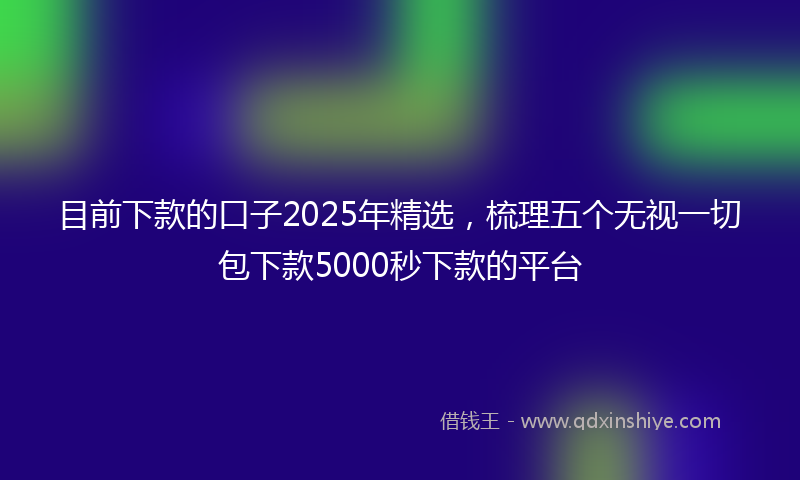 目前下款的口子2025年精选，梳理五个无视一切包下款5000秒下款的平台