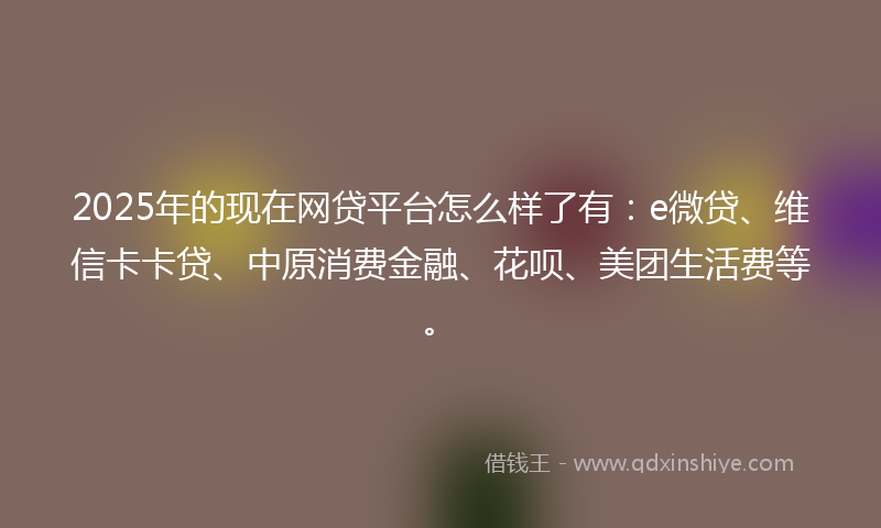 2025年的现在网贷平台怎么样了有：e微贷、维信卡卡贷、中原消费金融、花呗、美团生活费等。