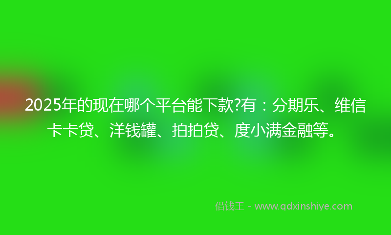 2025年的现在哪个平台能下款?有：分期乐、维信卡卡贷、洋钱罐、拍拍贷、度小满金融等。