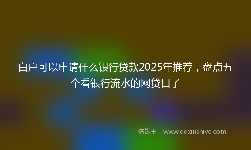 白户可以申请什么银行贷款2025年推荐，盘点五个看银行流水的网贷口子