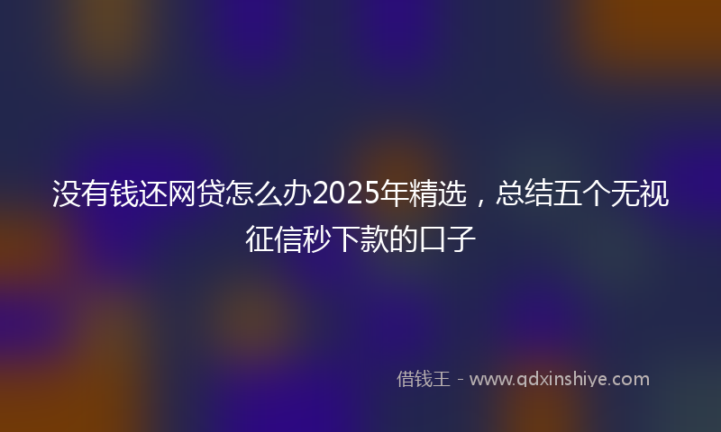没有钱还网贷怎么办2025年精选，总结五个无视征信秒下款的口子
