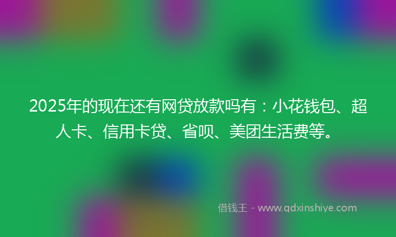 2025年的现在还有网贷放款吗有：小花钱包、超人卡、信用卡贷、省呗、美团生活费等。