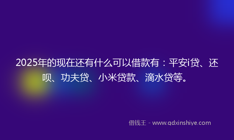 2025年的现在还有什么可以借款有：平安i贷、还呗、功夫贷、小米贷款、滴水贷等。