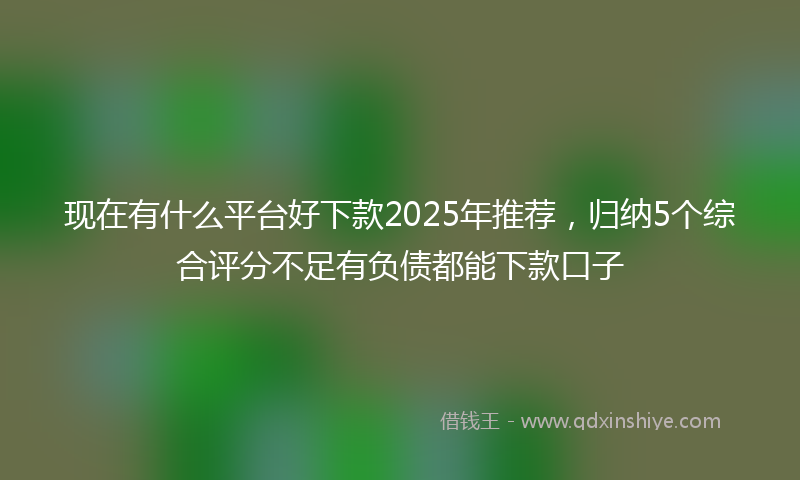 现在有什么平台好下款2025年推荐,归纳5个综合评分不足有负债都能下款口子