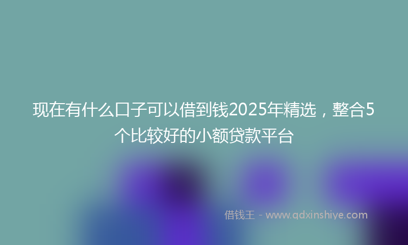 现在有什么口子可以借到钱2025年精选，整合5个比较好的小额贷款平台