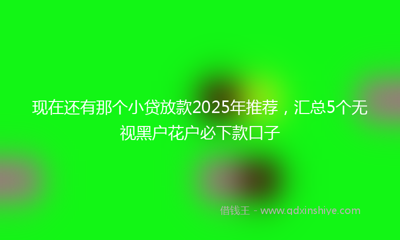 现在还有那个小贷放款2025年推荐，汇总5个无视黑户花户必下款口子