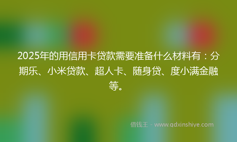 2025年的用信用卡贷款需要准备什么材料有：分期乐、小米贷款、超人卡、随身贷、度小满金融等。
