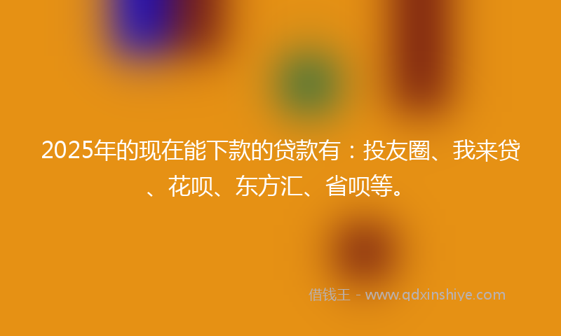 2025年的现在能下款的贷款有：投友圈、我来贷、花呗、东方汇、省呗等。