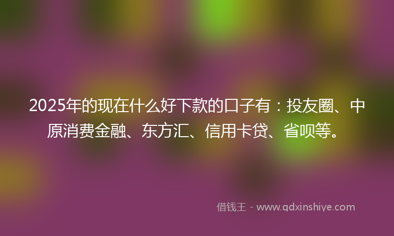 2025年的现在什么好下款的口子有：投友圈、中原消费金融、东方汇、信用卡贷、省呗等。