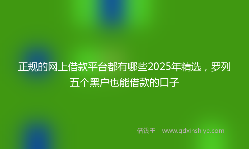 正规的网上借款平台都有哪些2025年精选，罗列五个黑户也能借款的口子