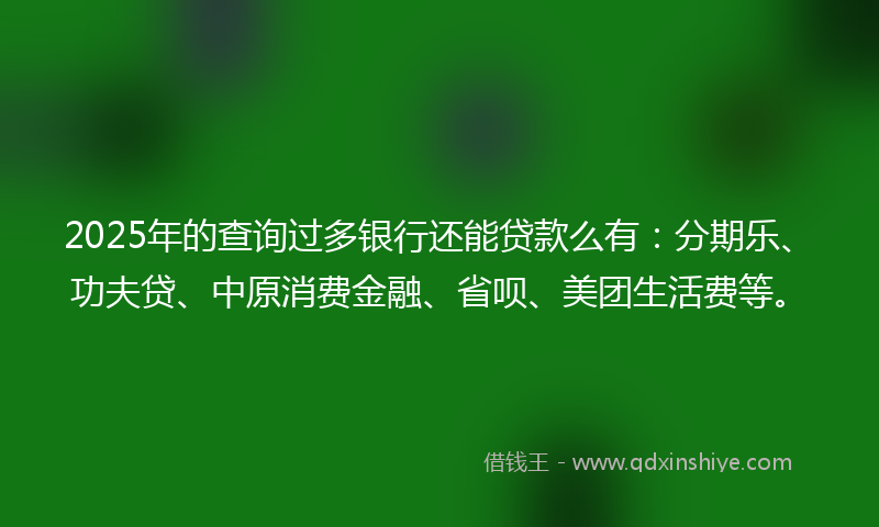 2025年的查询过多银行还能贷款么有：分期乐、功夫贷、中原消费金融、省呗、美团生活费等。