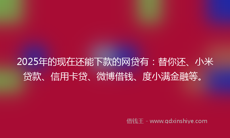 2025年的现在还能下款的网贷有：替你还、小米贷款、信用卡贷、微博借钱、度小满金融等。