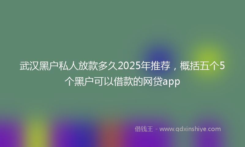 武汉黑户私人放款多久2025年推荐，概括五个5个黑户可以借款的网贷app