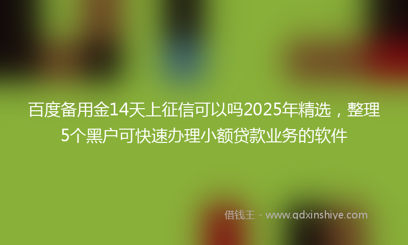 百度备用金14天上征信可以吗2025年精选，整理5个黑户可快速办理小额贷款业务的软件
