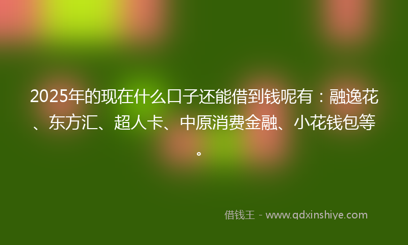 2025年的现在什么口子还能借到钱呢有：融逸花、东方汇、超人卡、中原消费金融、小花钱包等。