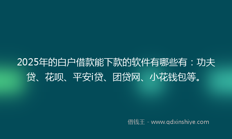 2025年的白户借款能下款的软件有哪些有：功夫贷、花呗、平安i贷、团贷网、小花钱包等。