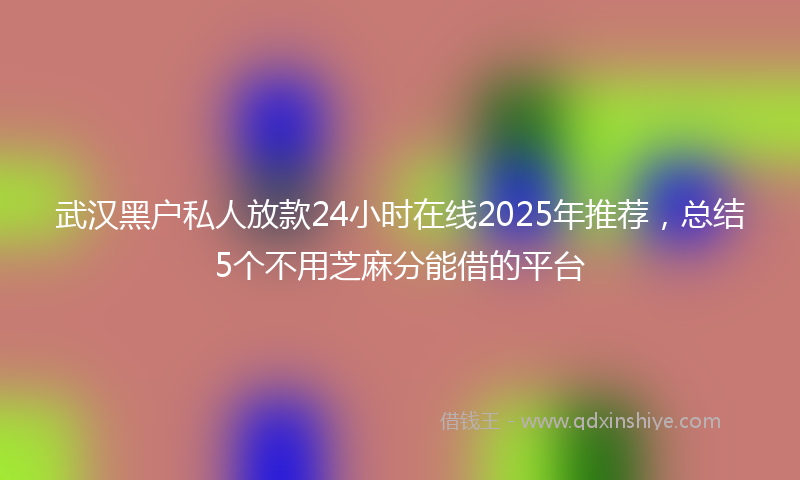 武汉黑户私人放款24小时在线2025年推荐，总结5个不用芝麻分能借的平台