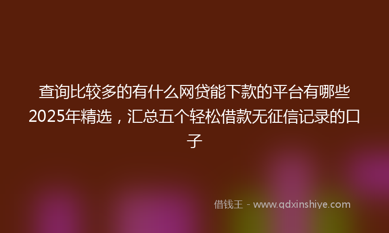 查询比较多的有什么网贷能下款的平台有哪些2025年精选，汇总五个轻松借款无征信记录的口子