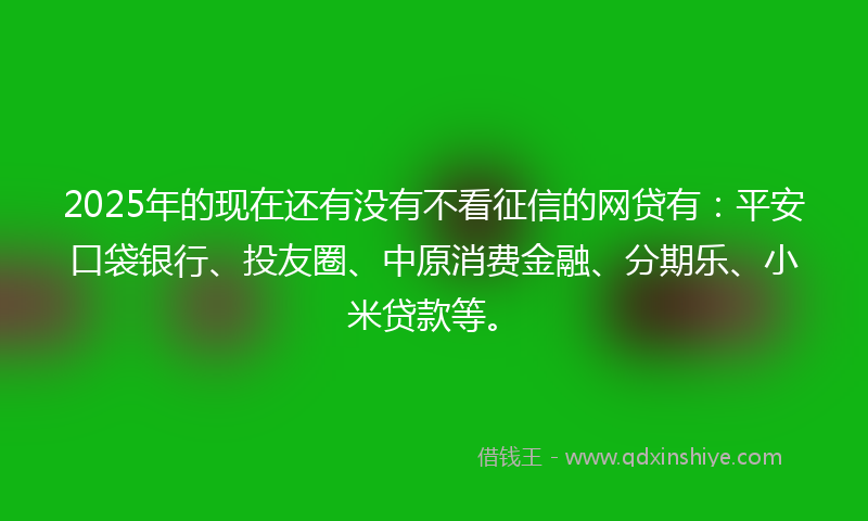 2025年的现在还有没有不看征信的网贷有：平安口袋银行、投友圈、中原消费金融、分期乐、小米贷款等。