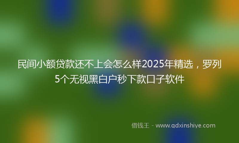 民间小额贷款还不上会怎么样2025年精选，罗列5个无视黑白户秒下款口子软件