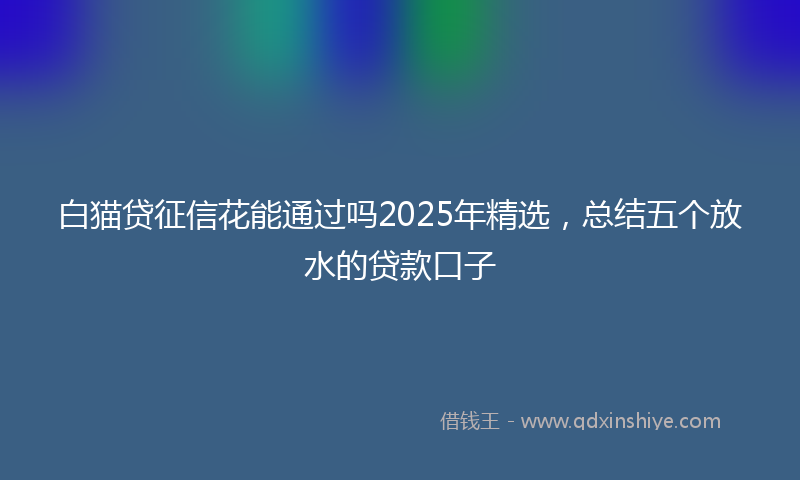 白猫贷征信花能通过吗2025年精选，总结五个放水的贷款口子