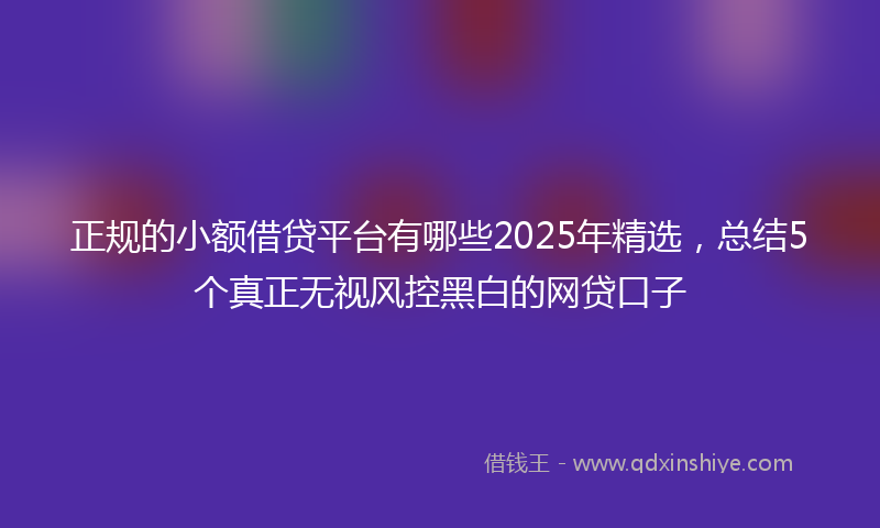 正规的小额借贷平台有哪些2025年精选，总结5个真正无视风控黑白的网贷口子